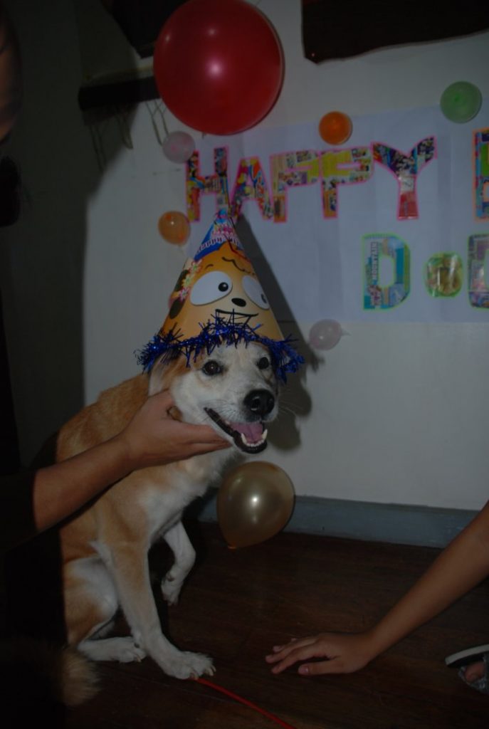 Happy Birthday Dog!