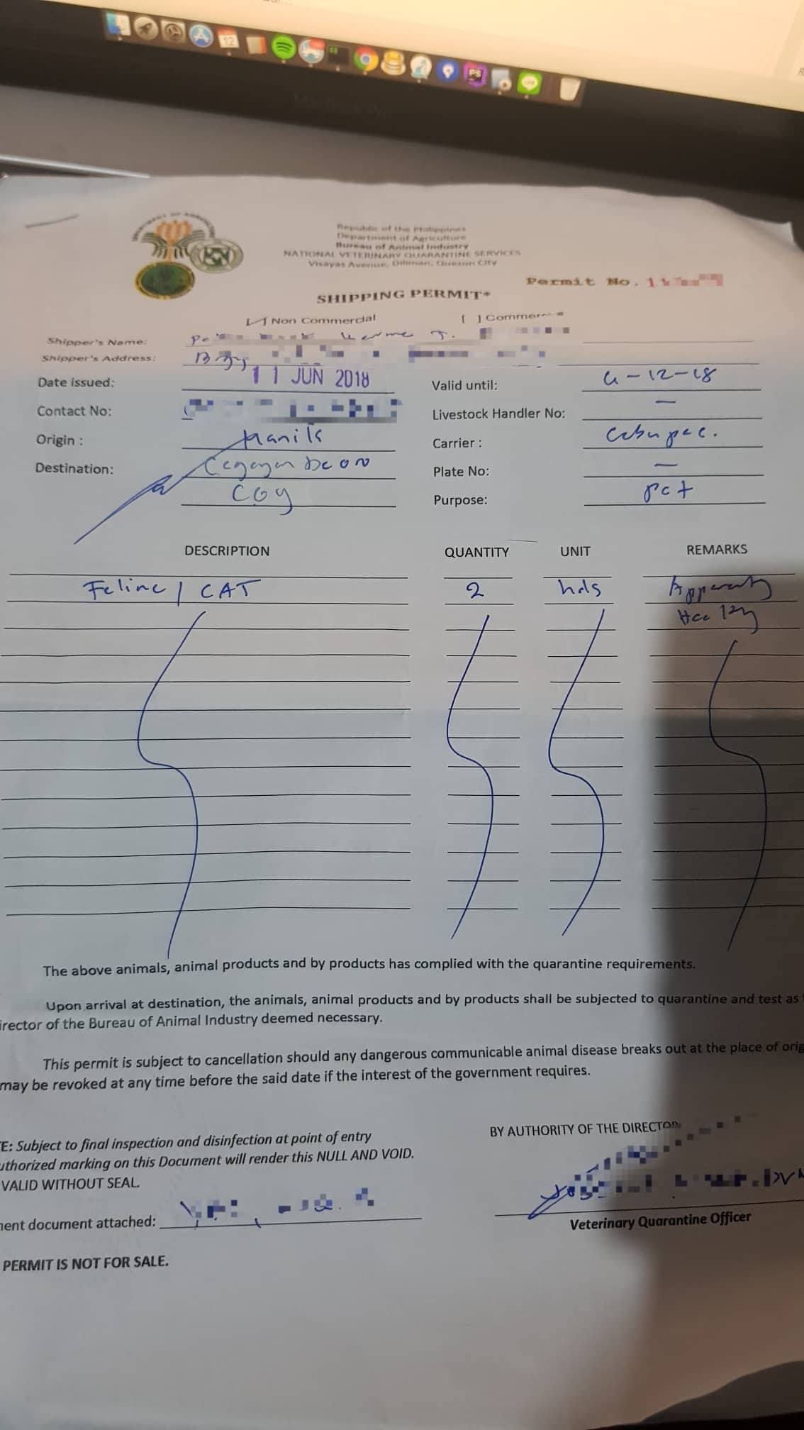 Pet Transport via FurExpress domestically in the Philippines Ridvan