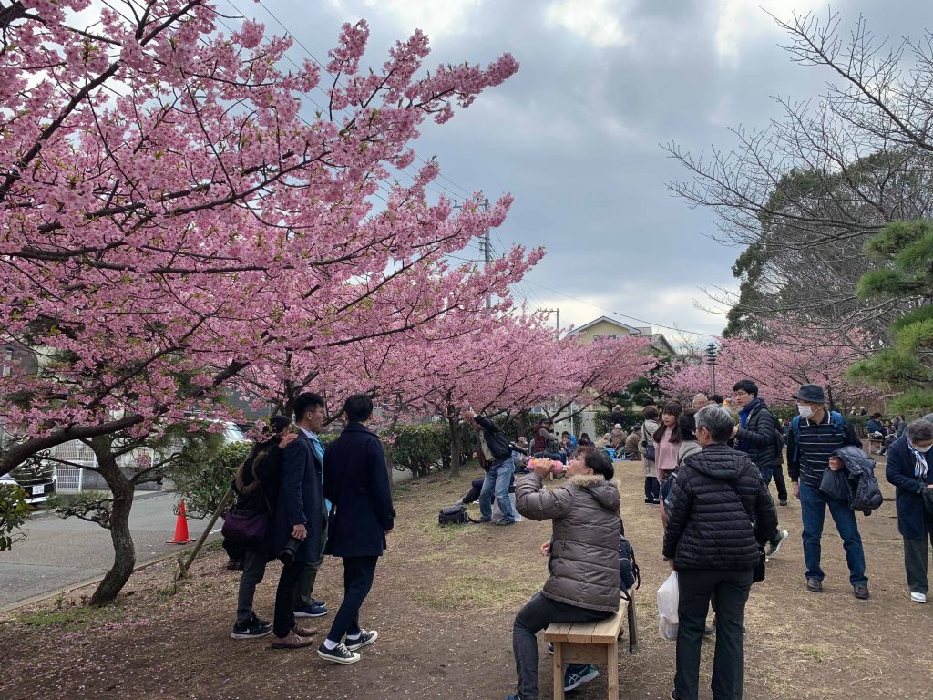 Kakigasaku Park