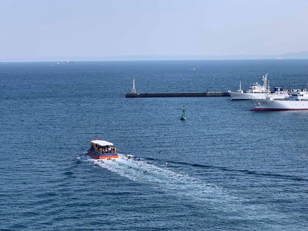 Tourist ferry with birds following it